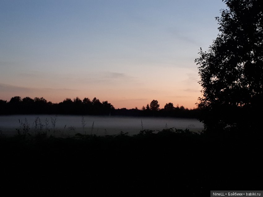 Рожденная в красоте — Валяные игрушки из шерсти: сухое валяние