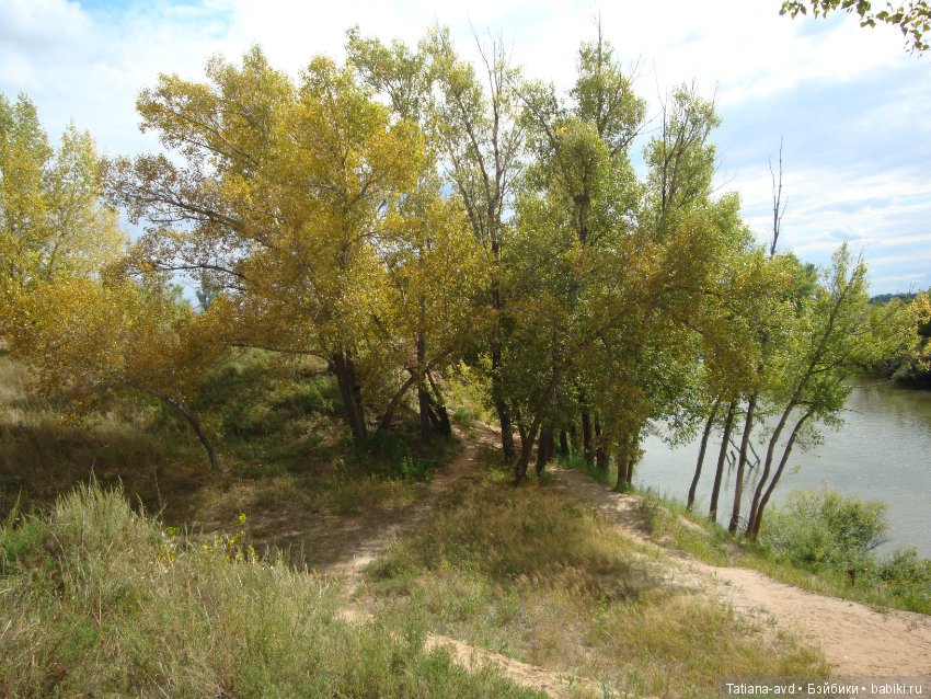 Сборы на прогулку — Интересное обо всем: поздравления