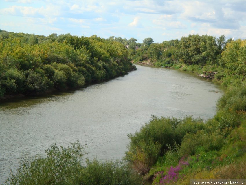 Сборы на прогулку — Интересное обо всем: поздравления