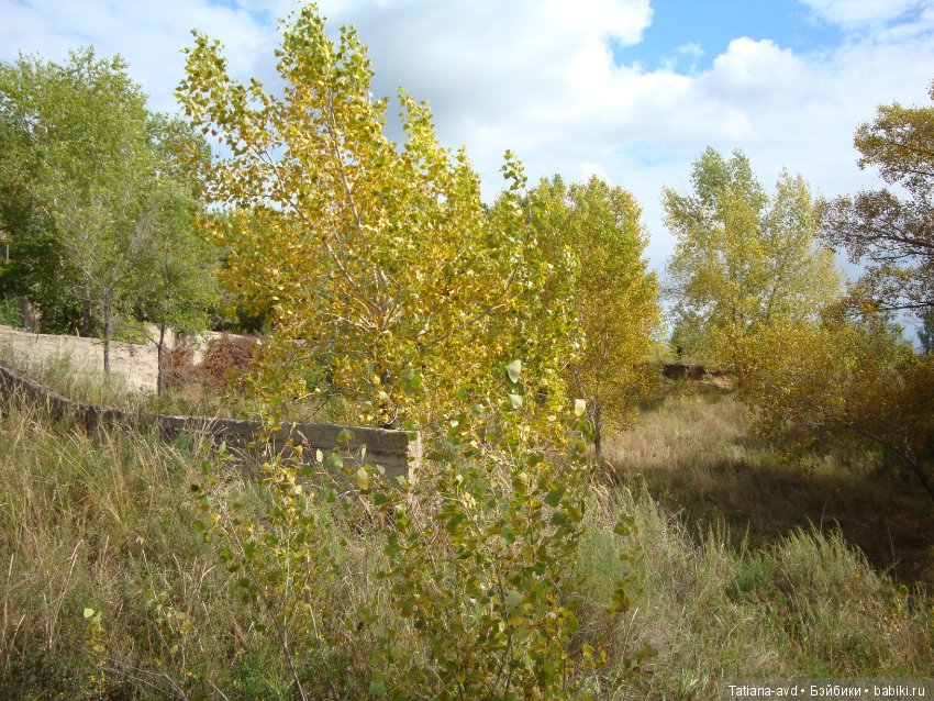 Сборы на прогулку — Интересное обо всем: поздравления