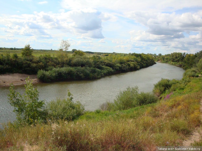 Сборы на прогулку — Интересное обо всем: поздравления