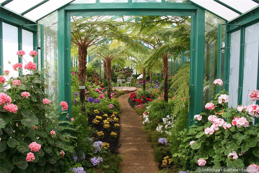 Дорогие друзья , думаю провести неделю скидок