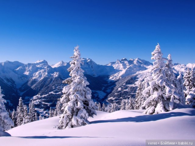 Скоро Новый Год — Болталка и разговоры обо всем: жизнь (фото 5)