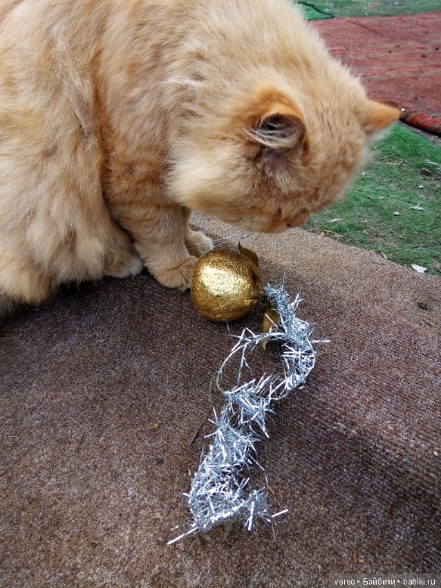 Скоро Новый Год — Болталка и разговоры обо всем: жизнь