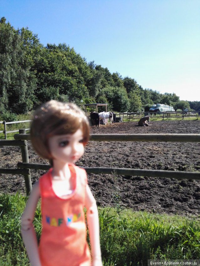 Первая прогулка Мии — Куклы Milim Studio (Милим): российские БЖД