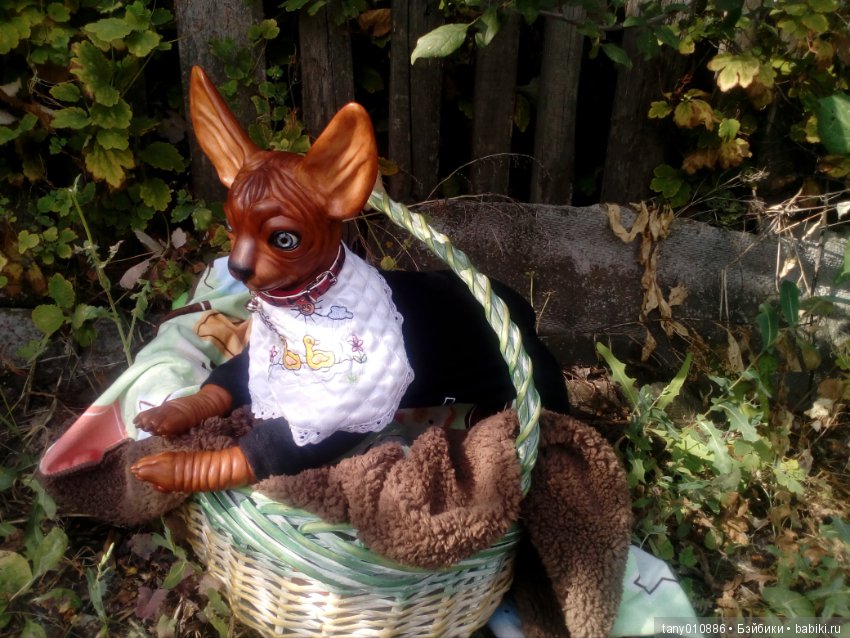 Мой Феликс — Куклы Реборн (Reborn): домашние фото