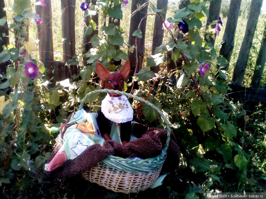 Мой Феликс — Куклы Реборн (Reborn): домашние фото