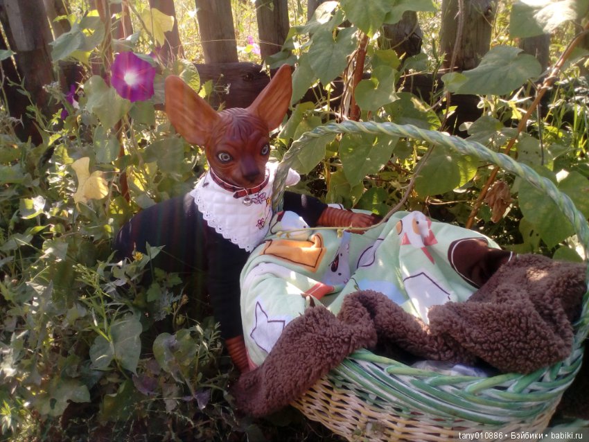 Мой Феликс — Куклы Реборн (Reborn): домашние фото