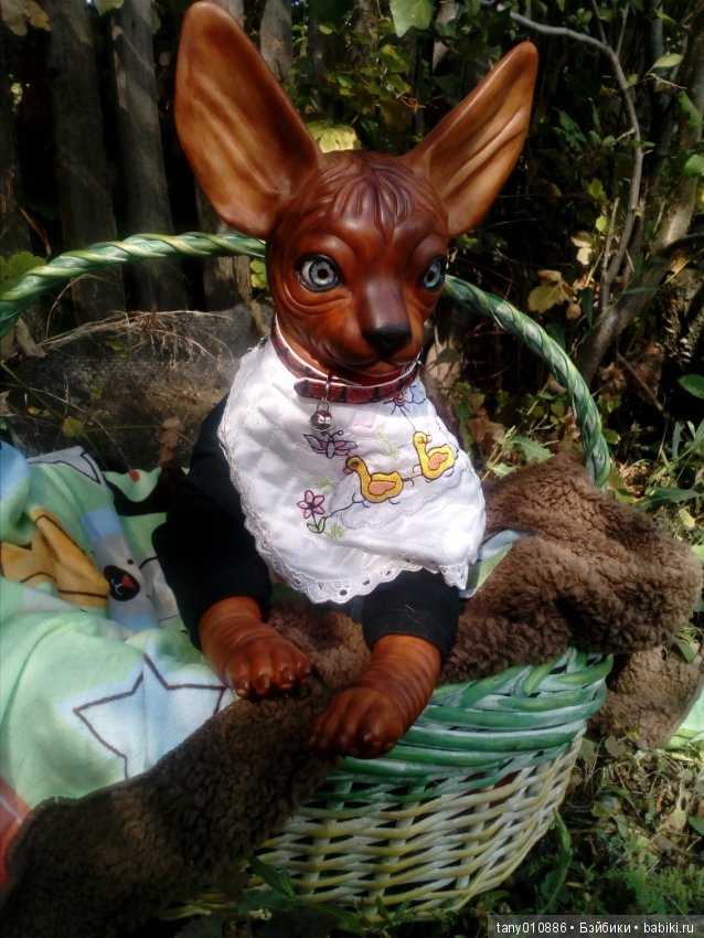 Мой Феликс — Куклы Реборн (Reborn): домашние фото (фото 10)