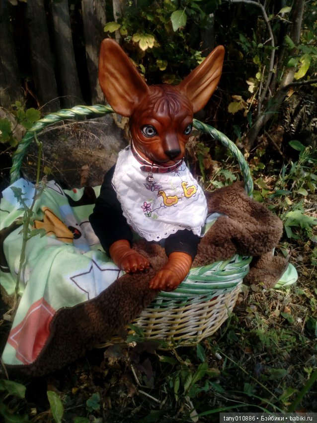 Мой Феликс — Куклы Реборн (Reborn): домашние фото (фото 9)