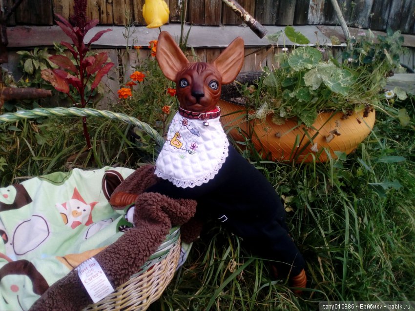 Мой Феликс — Куклы Реборн (Reborn): домашние фото (фото 4)