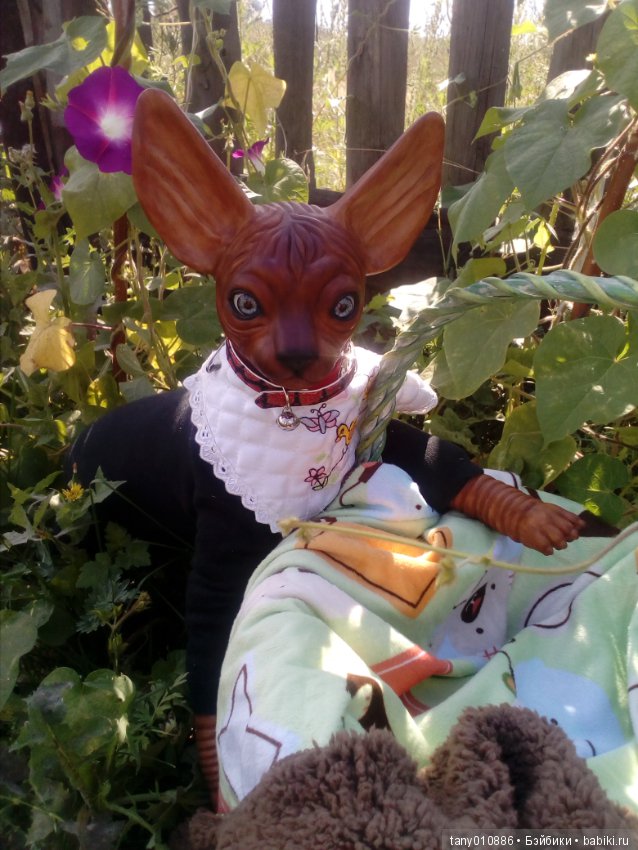 Мой Феликс — Куклы Реборн (Reborn): домашние фото