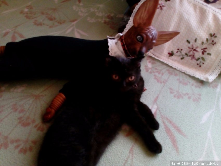 Мой Феликс — Куклы Реборн (Reborn): домашние фото