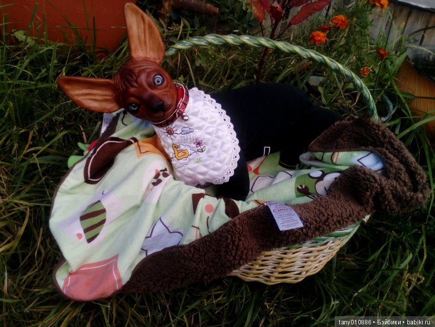 Мой Феликс — Куклы Реборн (Reborn): домашние фото (фото 3)