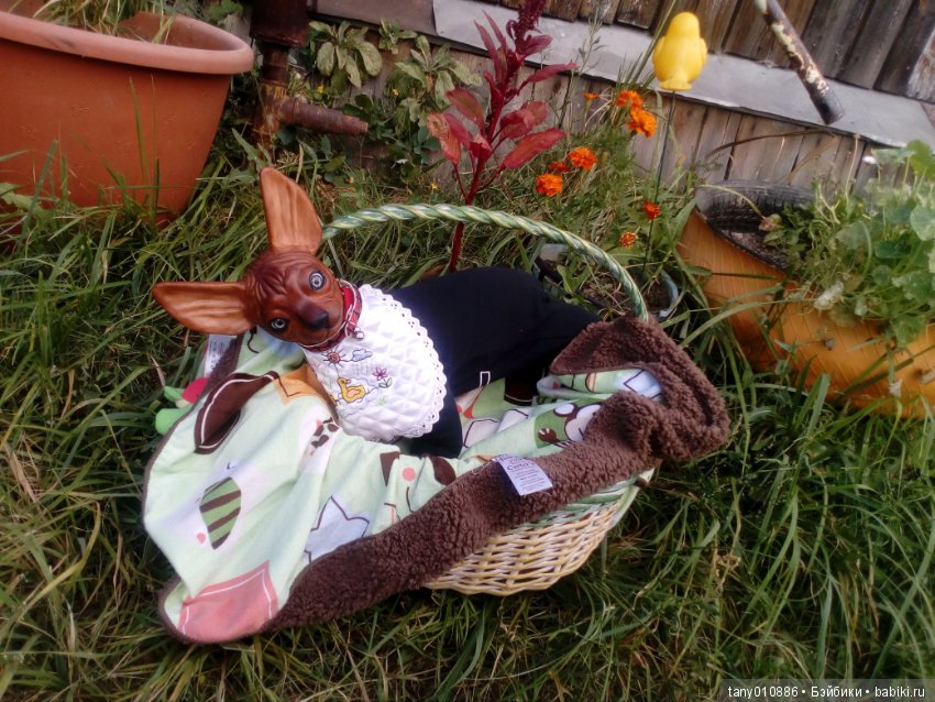 Мой Феликс — Куклы Реборн (Reborn): домашние фото (фото 5)