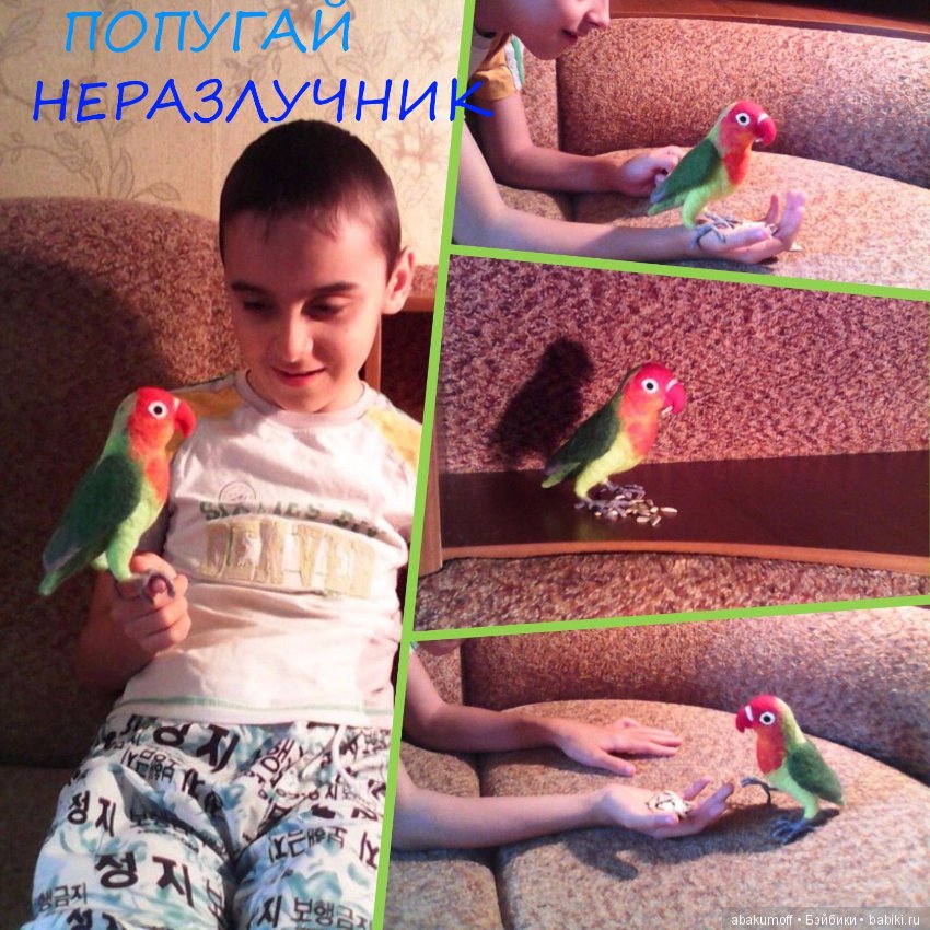 Попугайчики из шерсти — Валяные игрушки из шерсти: сухое валяние