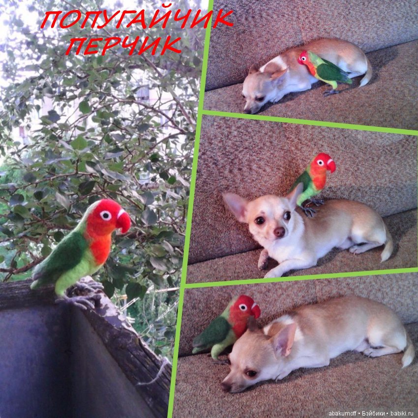 Попугайчики из шерсти — Валяные игрушки из шерсти: сухое валяние (фото 2)