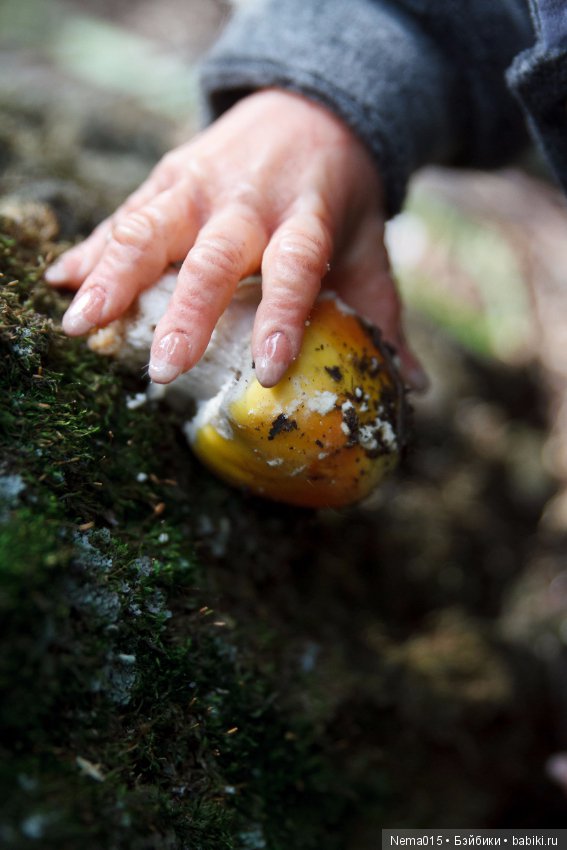 А у нас рожки... Куклы реборн Марины Голубицкой