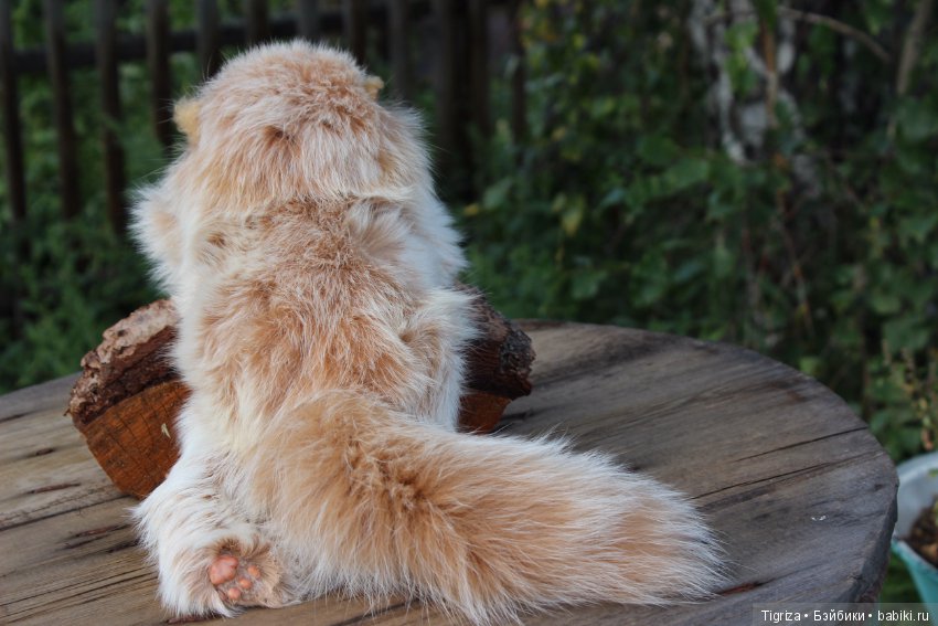 Котенок тедди Лео — Авторские мишки Тедди и друзья: фото