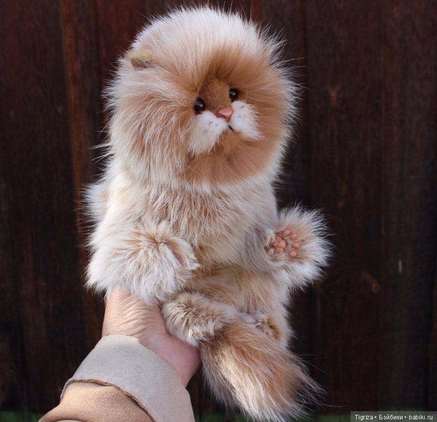 Котенок тедди Лео — Авторские мишки Тедди и друзья: фото