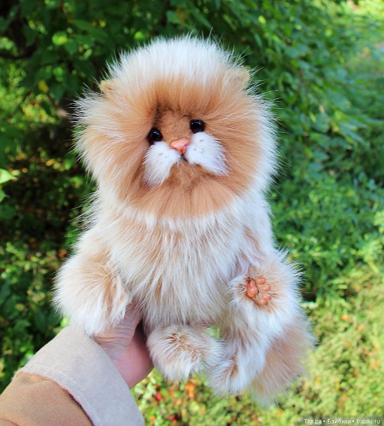 Котенок тедди Лео — Авторские мишки Тедди и друзья: фото