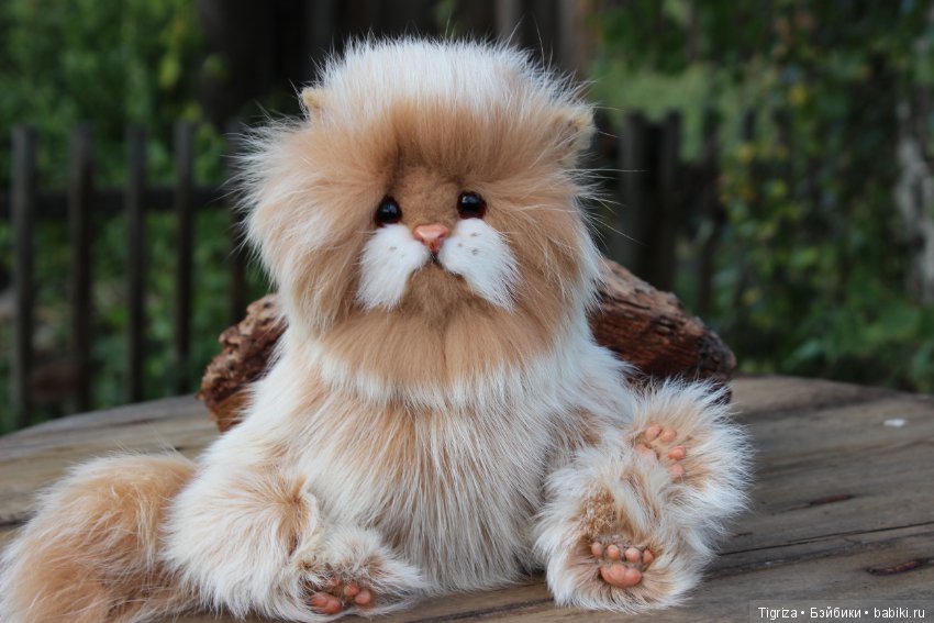 Котенок тедди Лео — Авторские мишки Тедди и друзья: фото