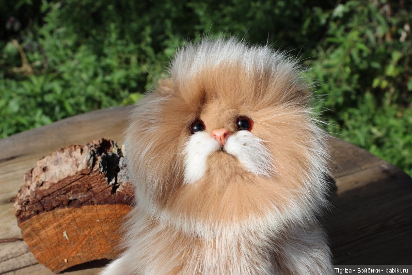 Котенок тедди Лео — Авторские мишки Тедди и друзья: фото