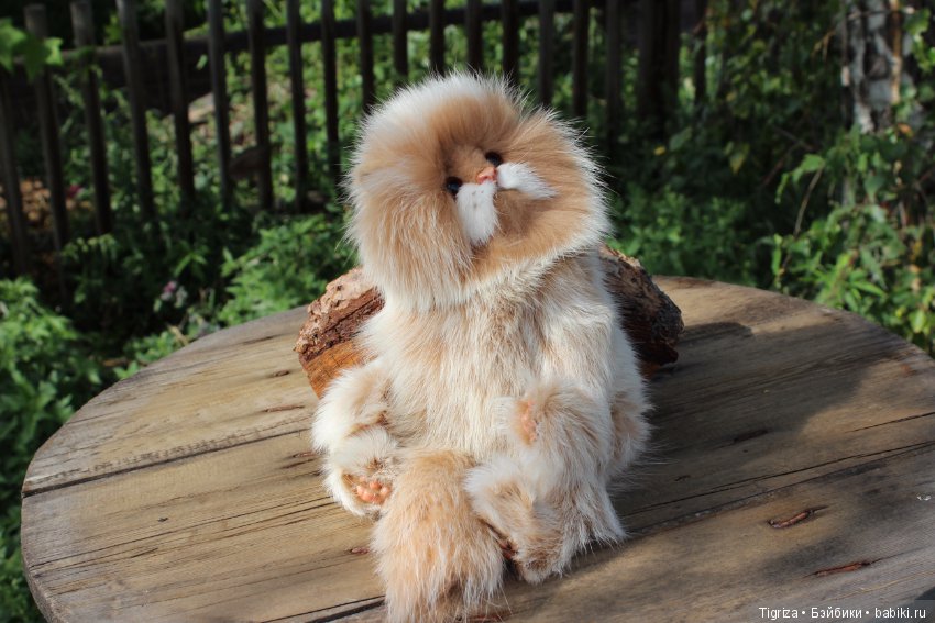 Котенок тедди Лео — Авторские мишки Тедди и друзья: фото