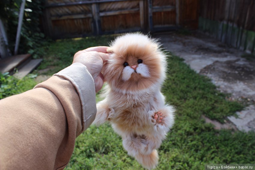 Котенок тедди Лео — Авторские мишки Тедди и друзья: фото