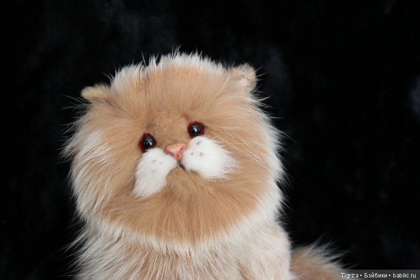 Котенок тедди Лео — Авторские мишки Тедди и друзья: фото