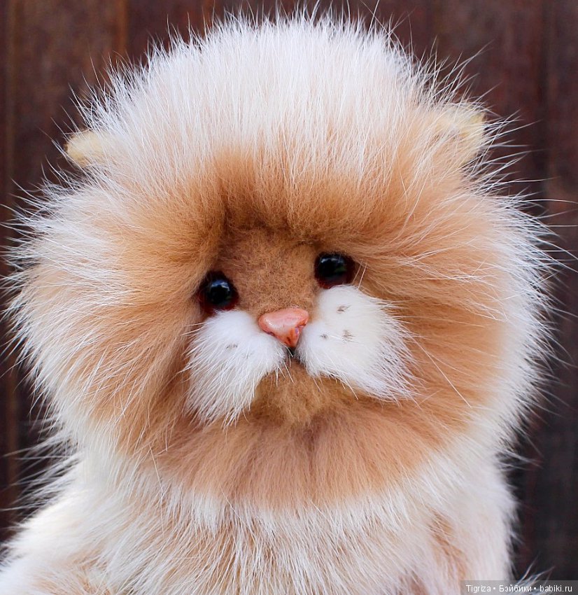 Котенок тедди Лео — Авторские мишки Тедди и друзья: фото