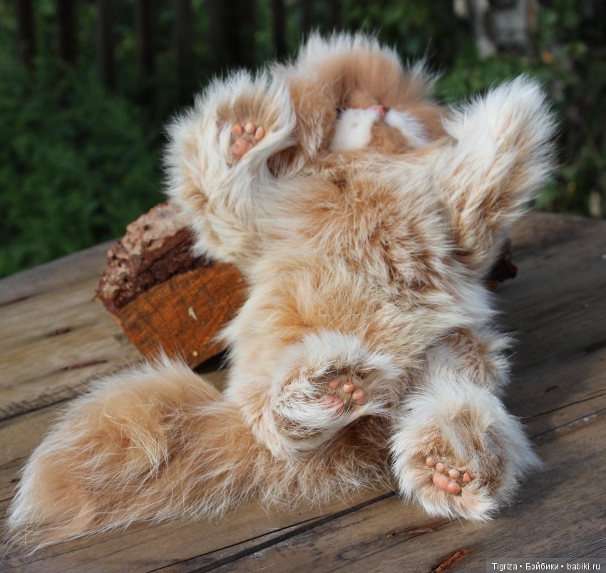 Котенок тедди Лео — Авторские мишки Тедди и друзья: фото