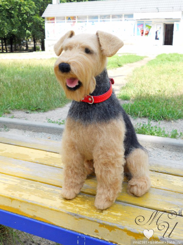 Эрдельтерьер Джеймс — Валяные игрушки из шерсти: сухое валяние