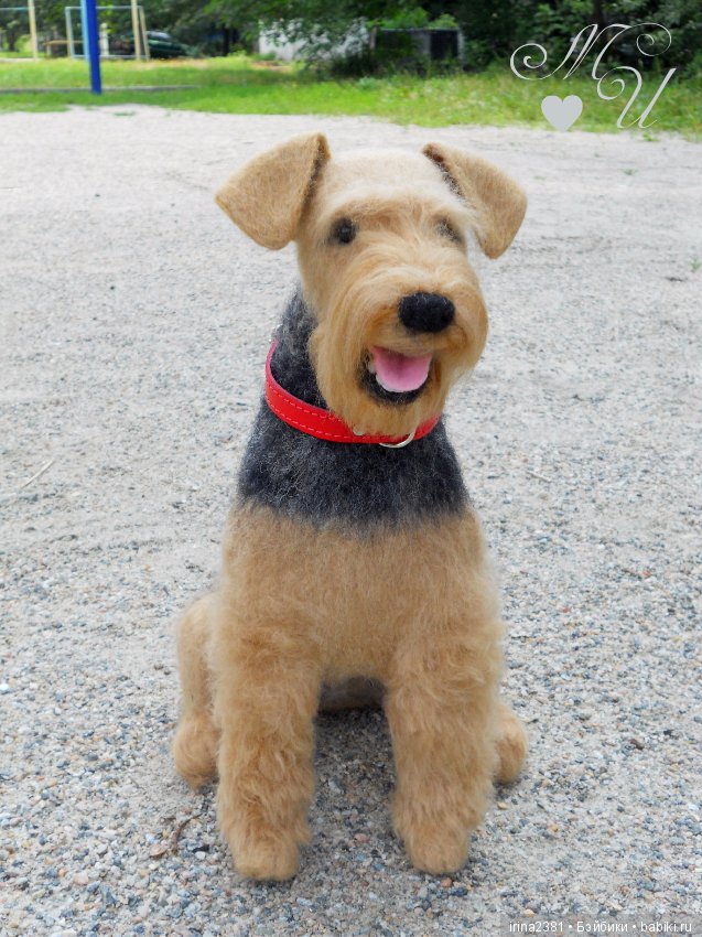 Эрдельтерьер Джеймс — Валяные игрушки из шерсти: сухое валяние (фото 4)