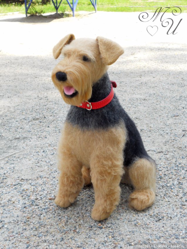 Эрдельтерьер Джеймс — Валяные игрушки из шерсти: сухое валяние (фото 2)