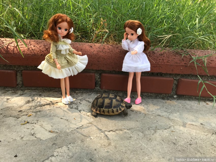 Ликки в отпуске, Licca Takara