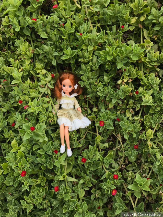 Ликки в отпуске, Licca Takara