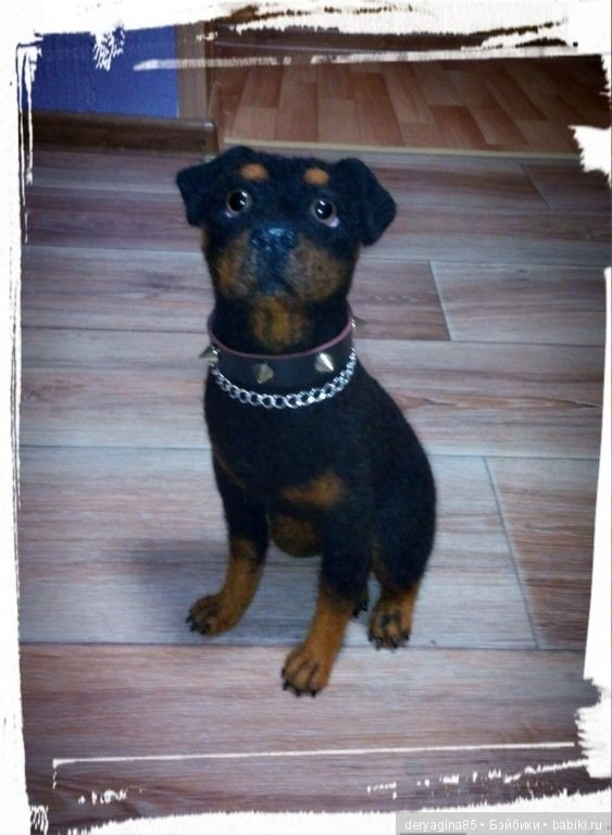 Ротвейлер — Валяные игрушки из шерсти: сухое валяние (фото 6)