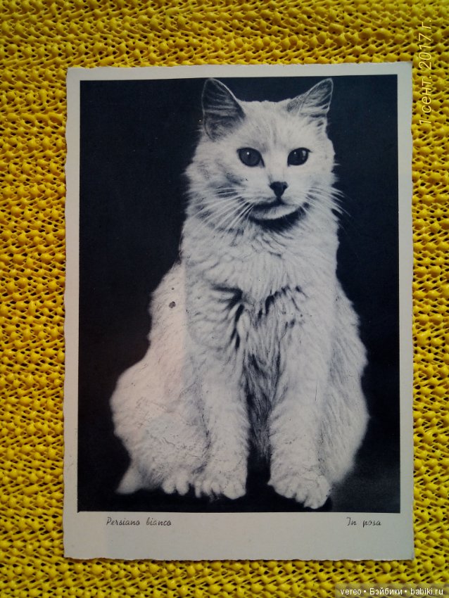 Винтажные открытки — Интересное и необычное: фотоподборки