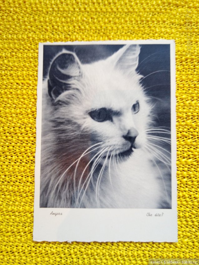 Винтажные открытки — Интересное и необычное: фотоподборки