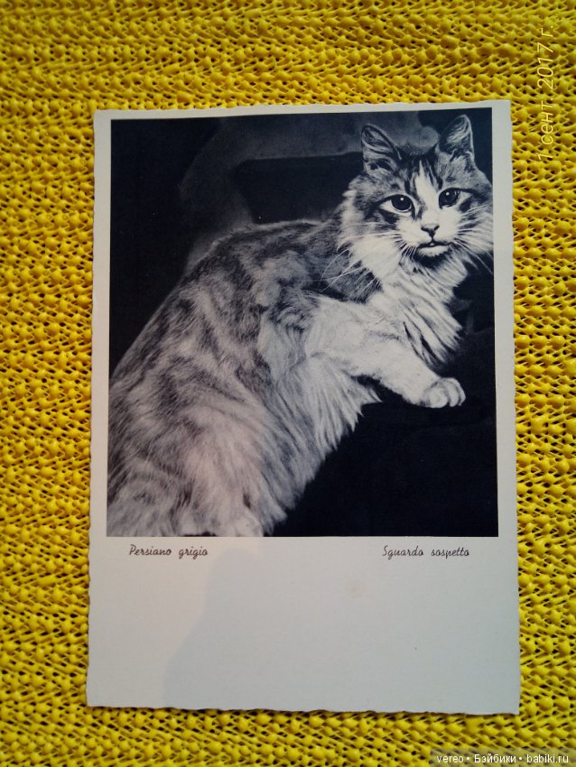 Винтажные открытки — Интересное и необычное: фотоподборки (фото 8)