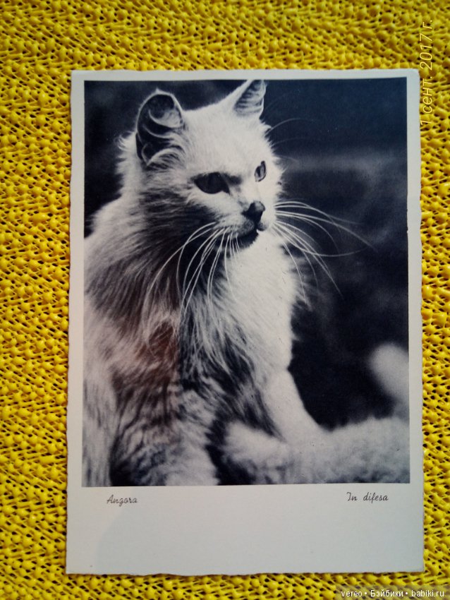 Винтажные открытки — Интересное и необычное: фотоподборки