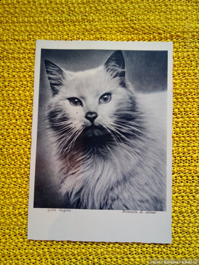 Винтажные открытки — Интересное и необычное: фотоподборки (фото 3)