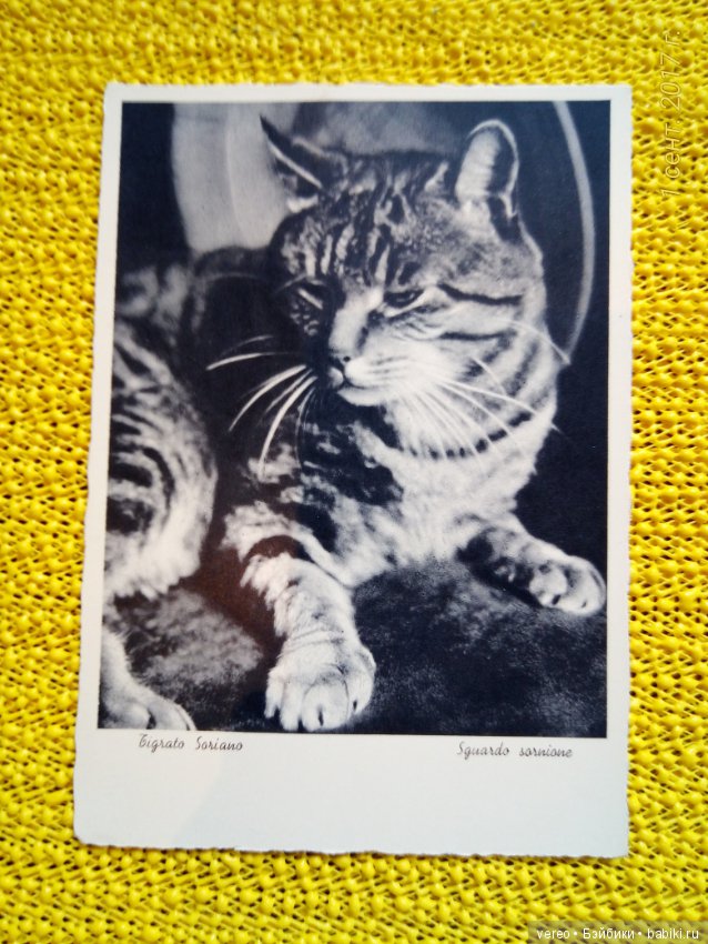 Винтажные открытки — Интересное и необычное: фотоподборки