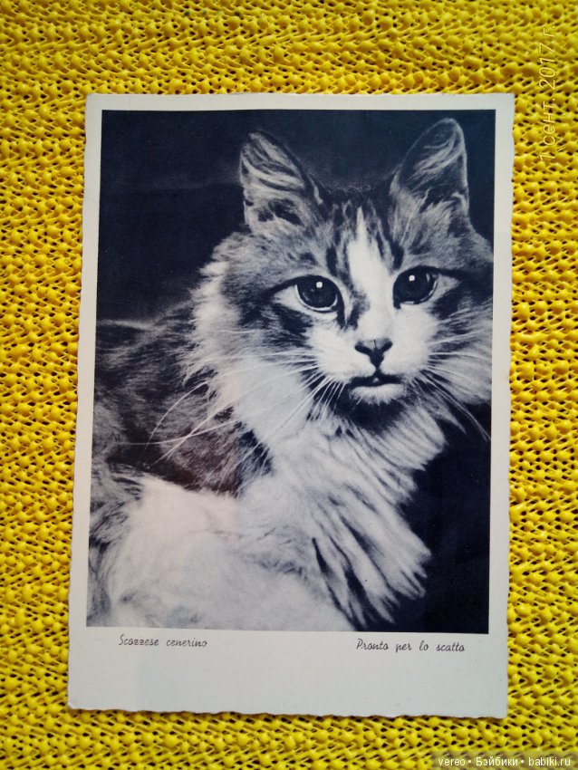 Винтажные открытки — Интересное и необычное: фотоподборки