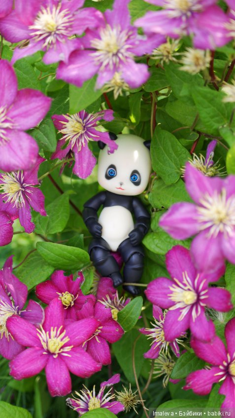 Маленькие ковбои — Гибриды шарнирных кукол (не БЖД): подбор тела (фото 4)