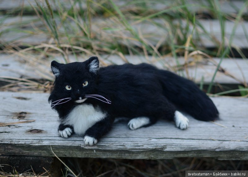 А мышки уже приготовились к школе (фото 6)