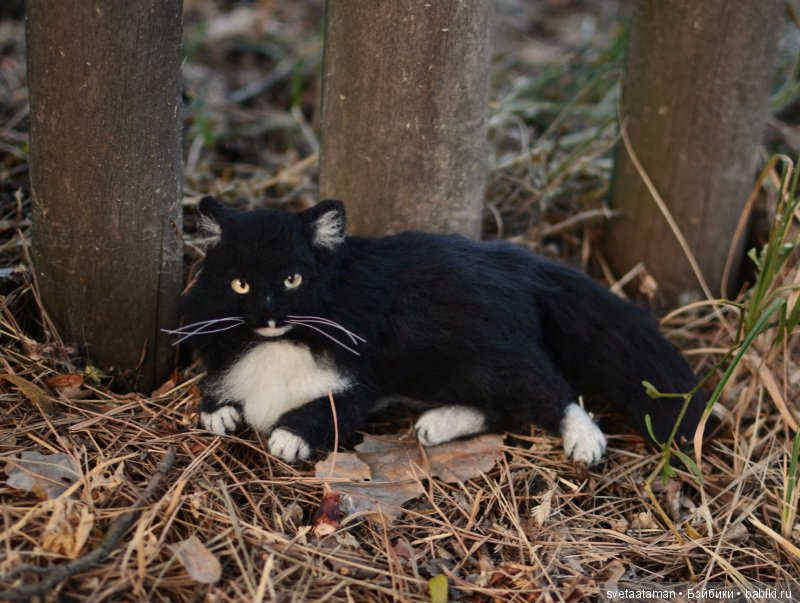 А мышки уже приготовились к школе (фото 7)