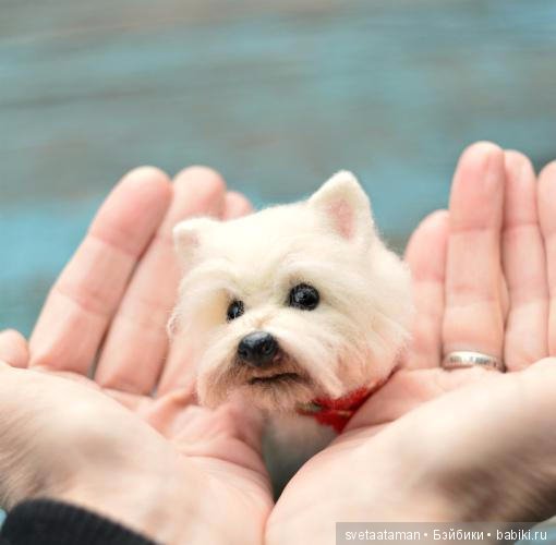 А мышки уже приготовились к школе