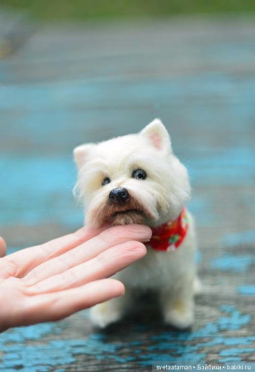 А мышки уже приготовились к школе (фото 3)